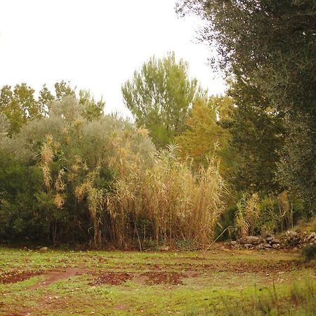 Il Giardino Di Viola Bed & Breakfast Ceglie Messapica Exterior foto