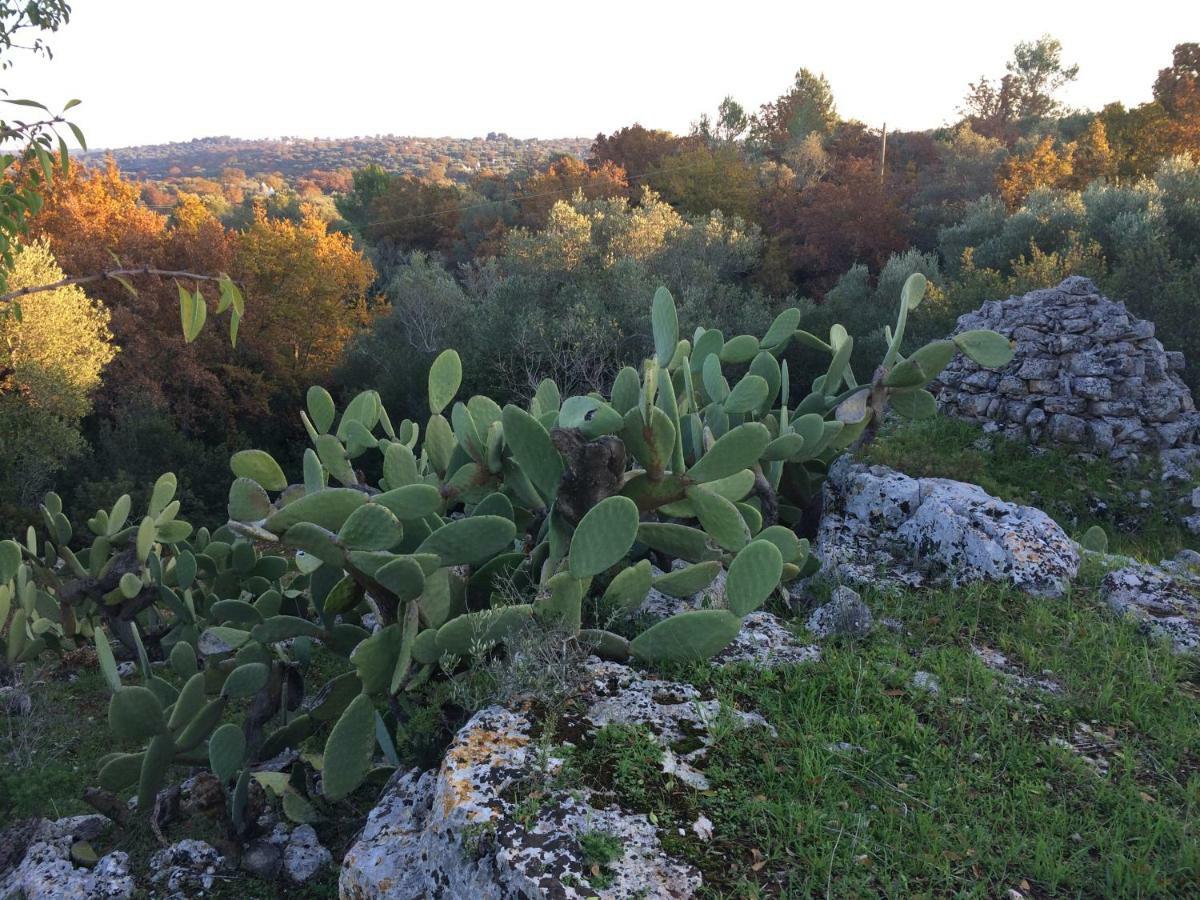 Il Giardino Di Viola Bed & Breakfast Ceglie Messapica Exterior foto