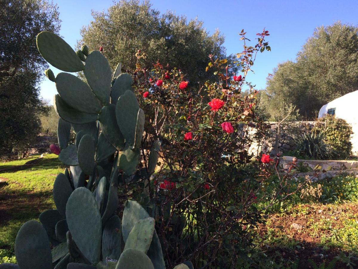 Il Giardino Di Viola Bed & Breakfast Ceglie Messapica Exterior foto